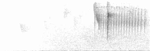 Tangara capucin (rubrirostris) - ML69350901