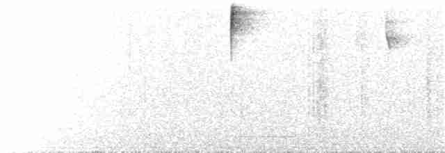 kullkronetanagar (atropileus) - ML69353511