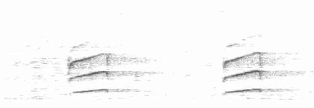 Rostdickichtschlüpfer - ML69358511