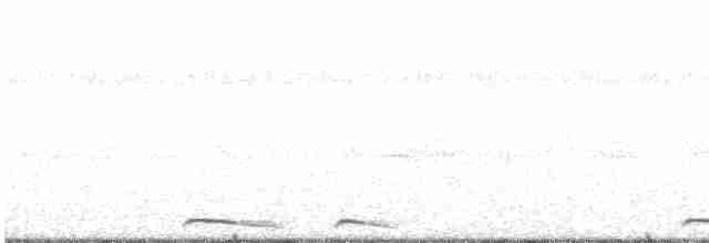 Инкская земляная горлица - ML69365571