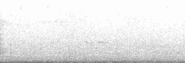 Black-billed Mountain-Toucan - ML69388