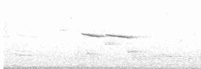 Кустарниковая эуфония - ML69392891