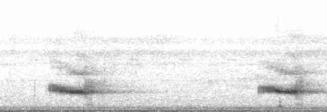 Toucan vitellin (ariel) - ML69402