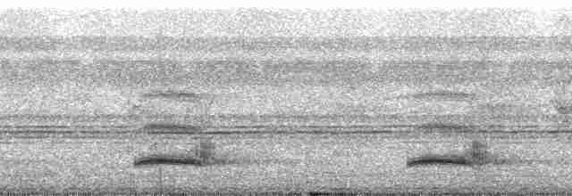 Toucan vitellin (culminatus/pintoi) - ML69403