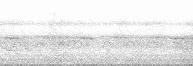 Yazılı Kara Ağaçkakan [lineatus grubu] - ML69434