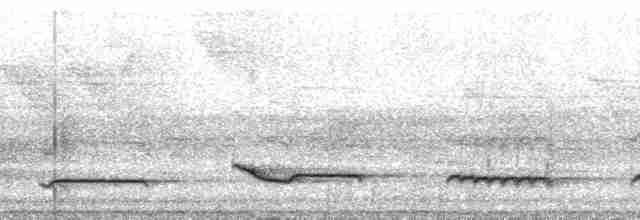 White-necked Thrush (Gray-flanked) - ML69455
