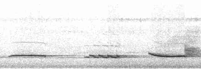 White-necked Thrush (Gray-flanked) - ML69472