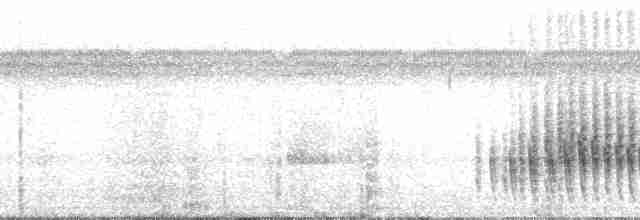 Weißbürzeltangare - ML69532