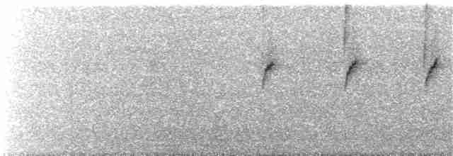 Colibri à queue blanche - ML69596281