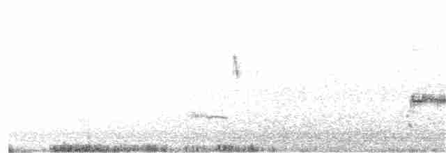 Loggerhead Shrike - ML69616381