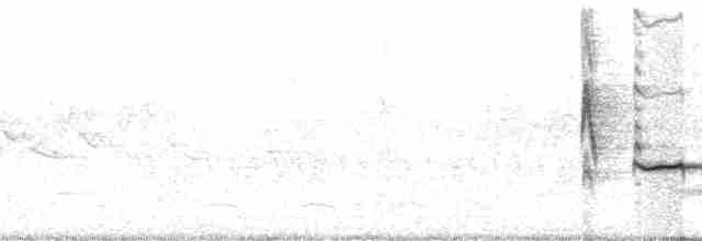 Желтоногий дрозд - ML69654