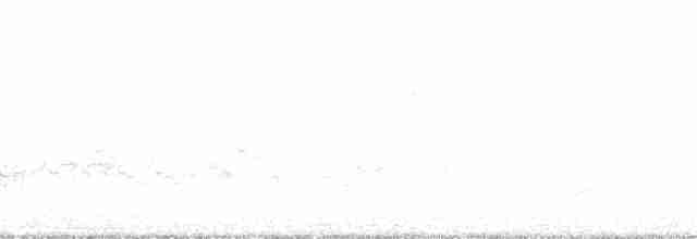Желтоногий дрозд - ML69657
