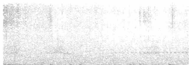 裏海燕鷗 - ML69685871