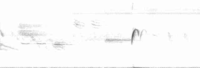 Москверо вогнистий (підвид saturatus) - ML69695