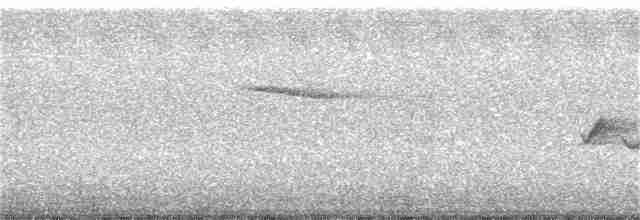Gri Başlı Kanarya Sinekkapanı - ML69705101