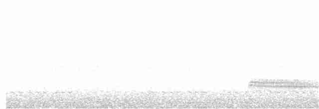 Western Grebe - ML69733251