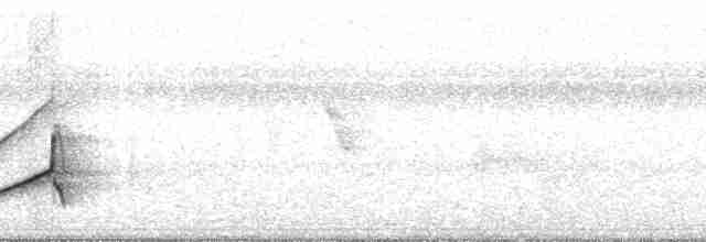 Sarı Karınlı Sinekkapan - ML69773