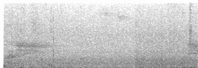 Тёмный вальдшнеп - ML69777351