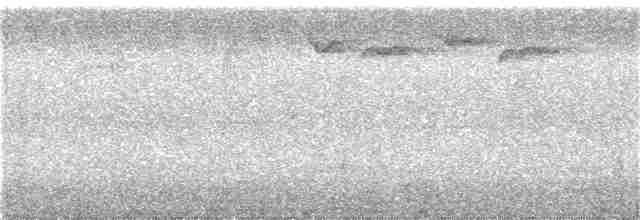 Зондская расписная пеночка - ML69777561