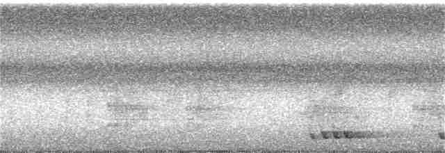 Turuncu Alınlı Barbet - ML69777571