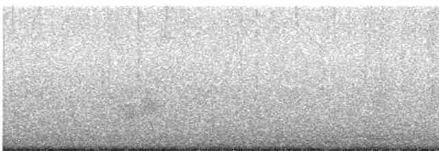 Gray-streaked Flycatcher - ML69781791
