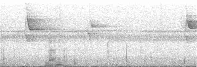 Kısa Kuyruklu Sığırcık - ML69805261