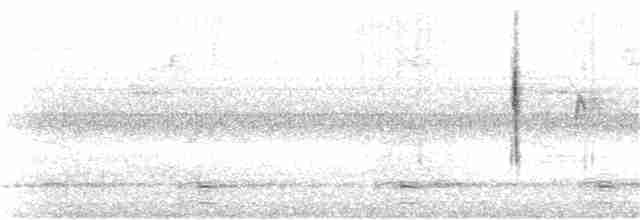 Paruline à couronne rousse (palmarum) - ML69814591
