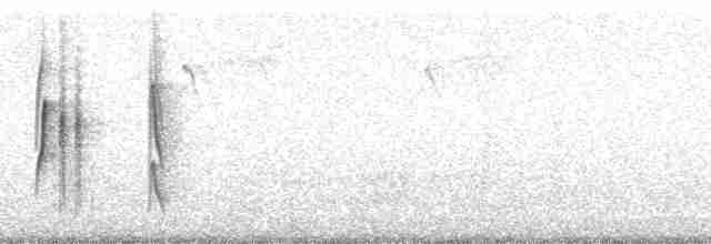 Тиранчик-довгохвіст білогорлий - ML69859