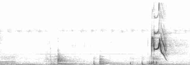 Светлоклювый древолаз - ML6988