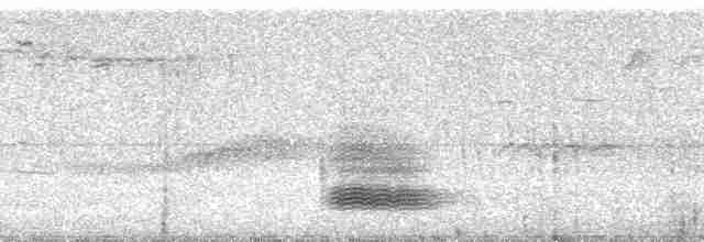 Гагер світлогорлий (підвид armillata/meridana) - ML69927