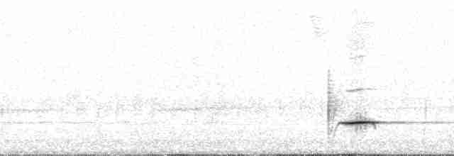 Гагер світлогорлий (підвид armillata/meridana) - ML69930