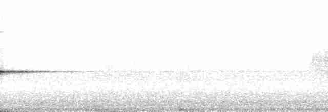 Гагер світлогорлий (підвид armillata/meridana) - ML69931