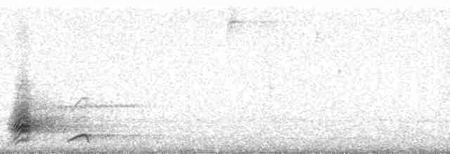Гагер світлогорлий (підвид armillata/meridana) - ML69932