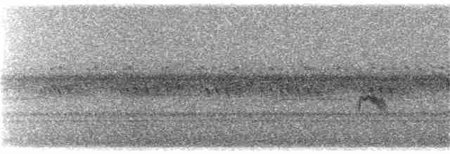 Gri Yanaklı Bülbül Ardıcı - ML69938951