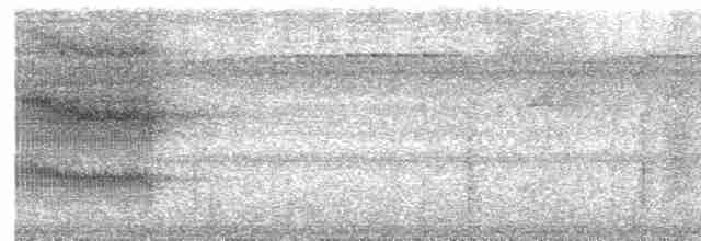 Çift Şeritli Taçlı Tiran - ML700118
