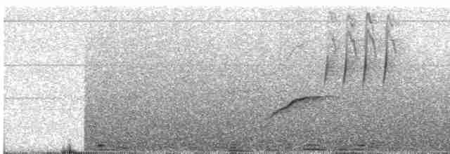 Вівсянка сиза - ML700135