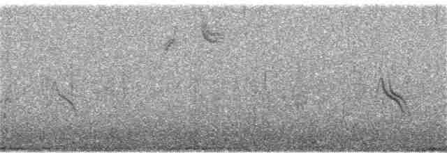Evening Grosbeak (type 1) - ML70022451
