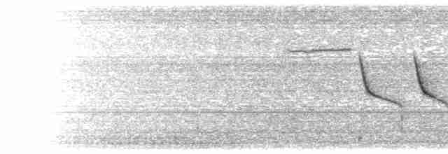 Черногорлая малая овсянка - ML700306