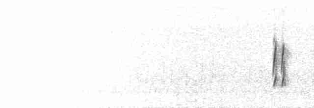 Атакамская трясохвостка - ML700373