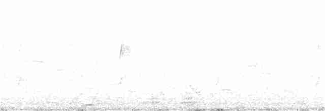 オウム目（インコ科 小さな種） - ML70043291