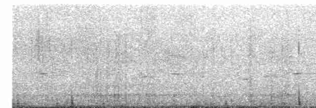  - Fan-tailed Gerygone