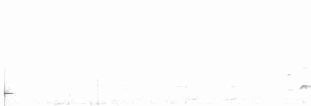 Fleckenbrust-Ameisenvogel - ML70096661
