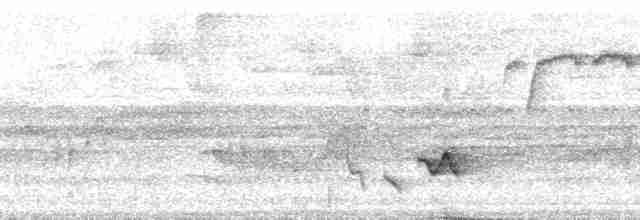 Серогрудый крапивник (venezuelensis) - ML70130