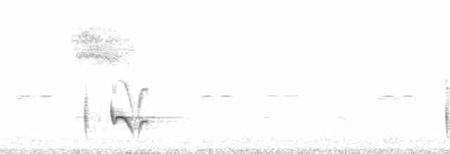Серогрудый крапивник (venezuelensis) - ML70134
