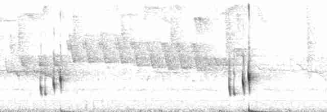 Gri Göğüslü Çıtkuşu (meridana) - ML70148