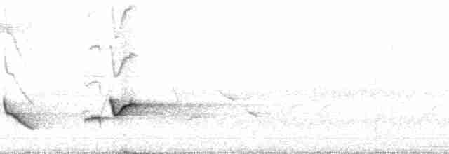 Серогрудый крапивник (venezuelensis) - ML70152