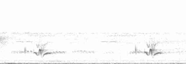 Серогрудый крапивник (venezuelensis) - ML70153