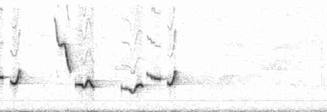 Серогрудый крапивник (venezuelensis) - ML70154