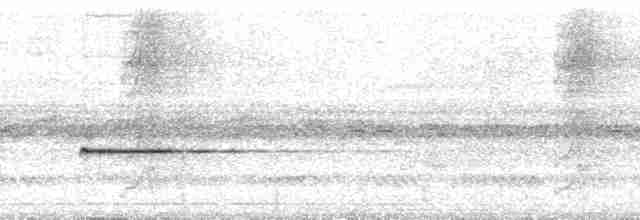 Pullu Çıtkuşu [marginatus grubu] - ML70159