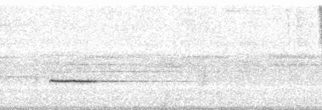 Соловьиный крапивник [группа marginatus] - ML70160